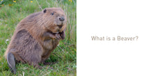 Load image into Gallery viewer, The Beaver Book

