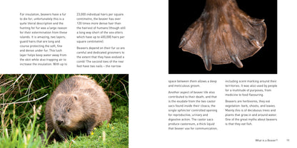 The Beaver Book