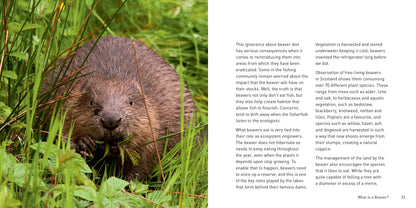 The Beaver Book