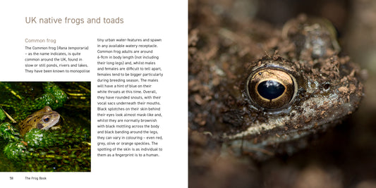 The Frog Book