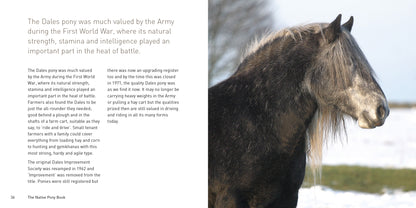 The Native Pony Book