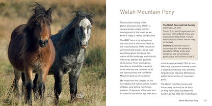 The Native Pony Book