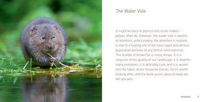 The Water Vole Book