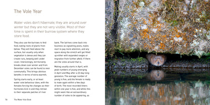 The Water Vole Book