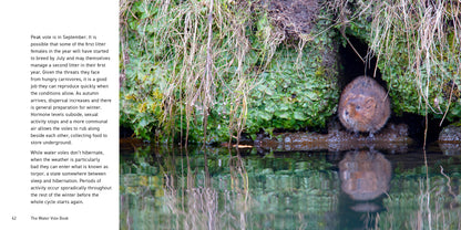 The Water Vole Book