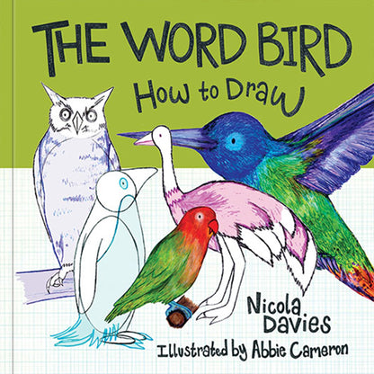 How to Draw: The Word Bird