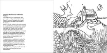 Load image into Gallery viewer, Helen Elliott Village Life Colouring Book, published by Graffeg, Penbryn
