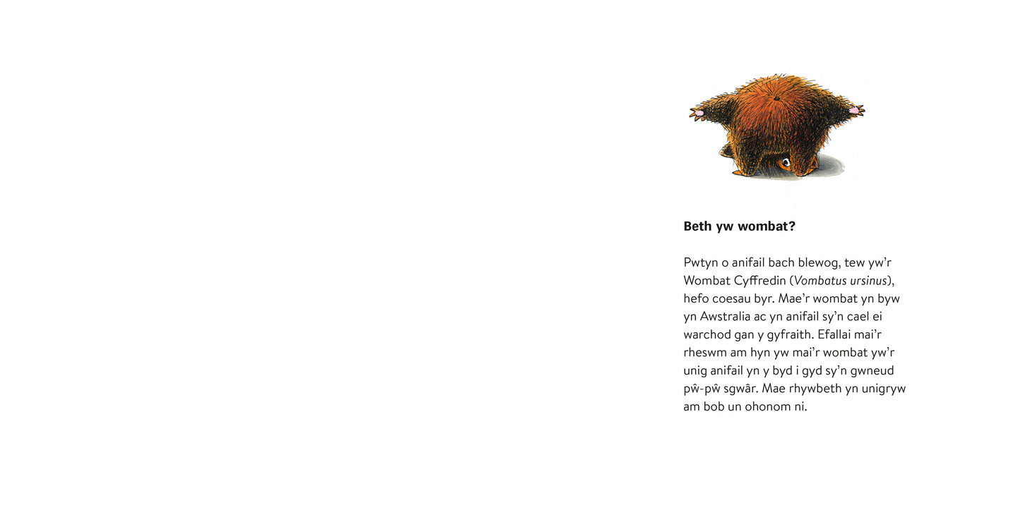 Watcyn y Wombat