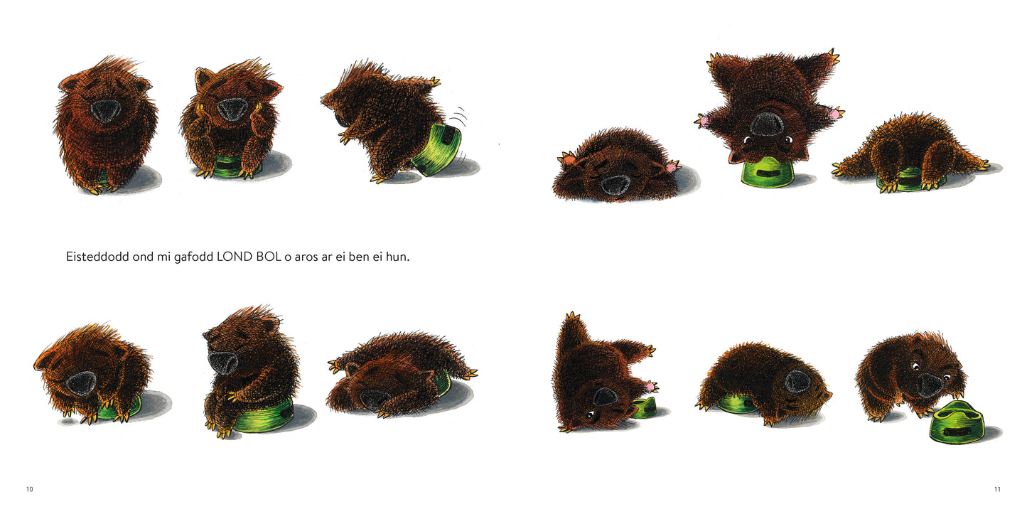 Watcyn y Wombat