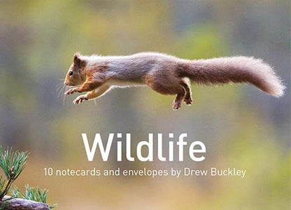 Front of a pack of wildlife cards with a design of a squirrel in mid-jump.  Wildlife, 10 notecards and envelopes by Drew Buckley. 