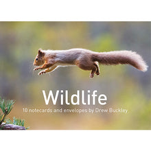 Load image into Gallery viewer, Wildlife Notecard Pack
