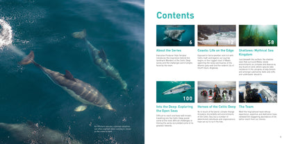 Wonders of the Celtic Deep