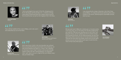 Wonders of the Celtic Deep