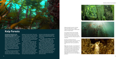 Wonders of the Celtic Deep