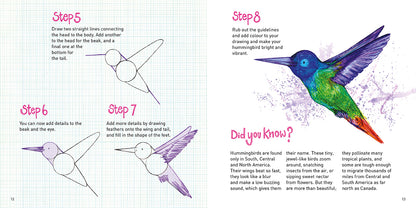 How to Draw: The Word Bird