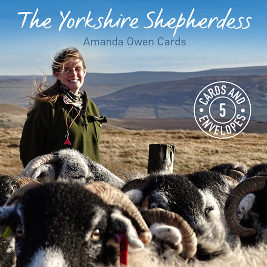 Yorkshire Shepherdess Greetings Card Pack