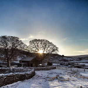 Yorkshire Shepherdess Greetings Card Pack