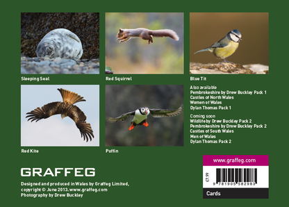 Back of the pack of wildlife notecards showing the five designs: Sleeping Seal, Red Squirrel, Blue Tit, Red Kite, Puffin.