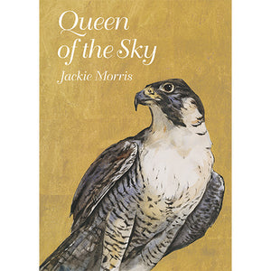 Queen of the Sky – Compact Edition