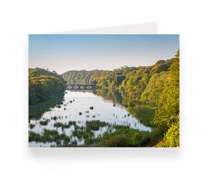 Pembrokeshire Cards by Drew Buckley - 10 pack